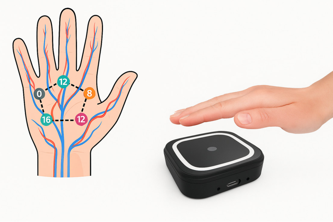 Palm Vein Recognition Terminal